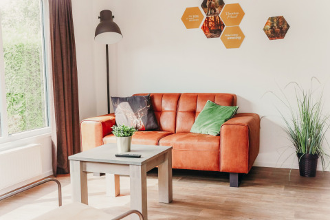 Gezellige leefruimte in Veluwe lodge + sauna bij Vakantiepark De Boshoek, Nederland, met oranje zetel.