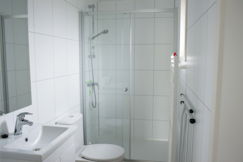 Moderne badkamer met douche, wastafel en toilet bij Veluwelodge XL op Holiday park De Boshoek in Nederland.
