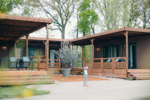 Vue extérieure des Tiny Wander Lodges avec terrasses en bois, coins salon et arbres verts tout autour.