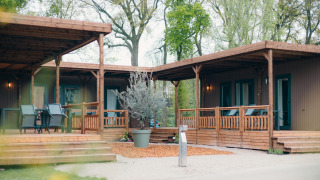 Vue extérieure des Tiny Wander Lodges avec terrasses en bois, coins salon et arbres verts tout autour.