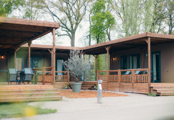 Vue extérieure des Tiny Wander Lodges avec terrasses en bois, coins salon et arbres verts tout autour.