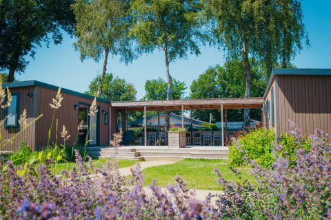 Sonniger Blick auf die Family Lodge im Ferienpark De Boshoek in den Niederlanden mit Terrasse und Gärten.