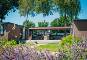 Vista soleggiata della Family Lodge al parco vacanze De Boshoek nei Paesi Bassi con terrazza e vegetazione.