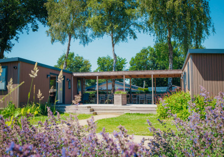 Zonnig uitzicht op de Family Lodge op Vakantiepark De Boshoek in Nederland, met terras en veel groen.