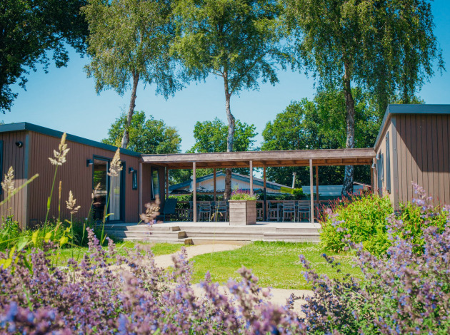 Zonnig uitzicht op de Family Lodge op Vakantiepark De Boshoek in Nederland, met terras en veel groen.