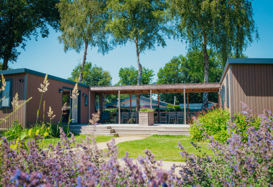 Sunny view of the Family Lodge at Holiday park De Boshoek in the Netherlands, surrounded by greenery and terrace.