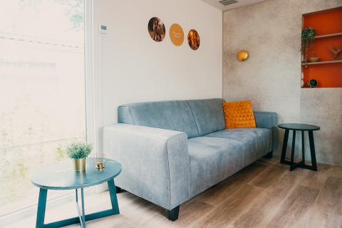 Sala moderna en Family Lodge de Holiday park De Boshoek, Países Bajos, con sofá gris y cojín naranja.