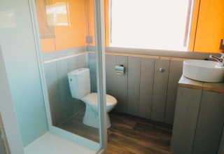 Badkamer in Safari House met toilet, wastafel en douche bij vakantiepark De Boshoek, Nederland.