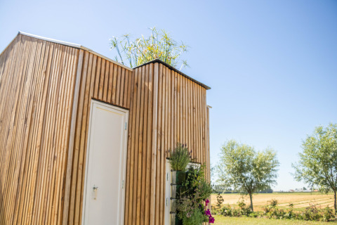 Houten lodge met groen dak en witte deur bij Het Eilandhuis, 7Huizen aan Zee, Nederland, op een zonnige dag.