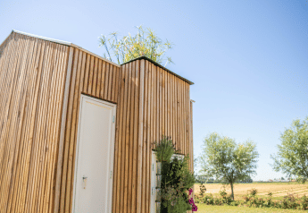 Cabaña de madera con techo verde y puerta blanca en Het Eilandhuis, 7Huizen aan Zee, Países Bajos, en un día soleado.