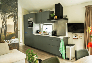Moderne keuken in de Wellness Cottage bij De Thijmse Berg, Nederland, met groene kasten en natuurschildering.