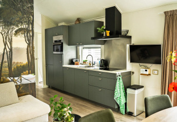 Moderne køkken i Wellness Cottage på De Thijmse Berg, med grønne skabe, fladskærms-tv og naturtapet.