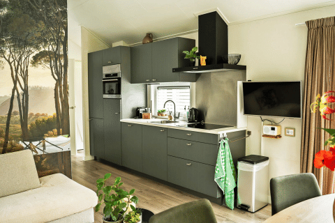 Moderne keuken in de Wellness Cottage bij De Thijmse Berg, Nederland, met groene kasten en natuurmuurschildering.