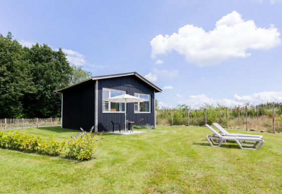 Kleines schwarzes Haus mit Terrasse, Liegestühlen und grünem Rasen unter blauem Himmel mit Wolken.