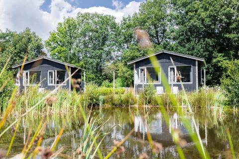 Two Tiny House XL cabins by a pond with lush greenery at The Kremmer in the Netherlands on a sunny day.