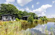 Drei schwarze Tiny Houses am Teich, umgeben von Natur und Bäumen, unter blauem Himmel in den Niederlanden.