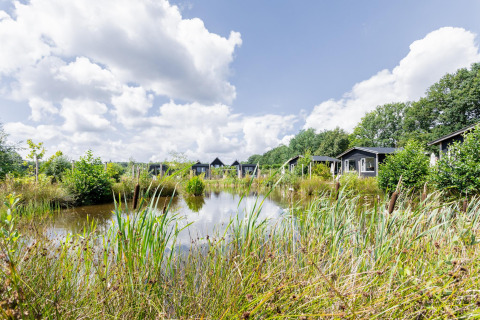 Blick auf den Teich und Tiny House XL Hütten bei The Kremmer in den Niederlanden, umgeben von Natur.