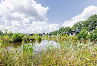 Blick auf den Teich und Tiny House XL Hütten bei The Kremmer in den Niederlanden, umgeben von Natur.