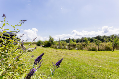 Sonnige Wiese und Blumen mit Aussicht auf Tiny House XL im The Kremmer, Niederlande, unter blauem Himmel.