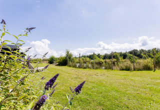 Sonnige Wiese und Blumen mit Aussicht auf Tiny House XL im The Kremmer, Niederlande, unter blauem Himmel.