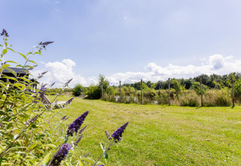 En solrig udsigt over grønne enge og blomster ved Tiny House XL på The Kremmer, Holland, med himmel.