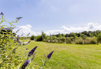 Paysage ensoleillé avec prairie, fleurs et Tiny House XL à The Kremmer, Pays-Bas, sous un ciel clair.