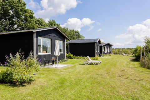 Rij zwarte tiny houses met terrassen en ligstoelen op het gras bij The Kremmer in Nederland.