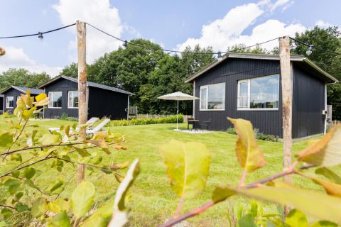 Tiny House XL bei The Kremmer in den Niederlanden, schwarze Hütten auf grüner Wiese mit Bäumen.