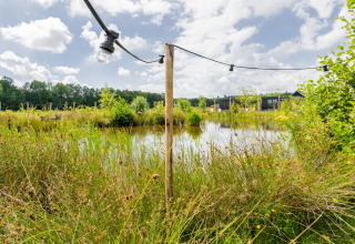 Naturnahes Gelände mit Teich, hohem Gras und Tiny House XL bei The Kremmer, Niederlande, bei Tag.