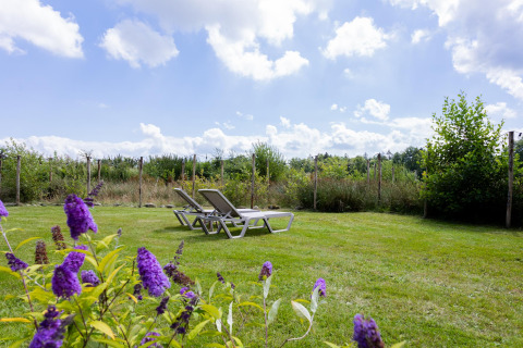 Sonnenliegen auf einer grünen Wiese am Tiny House XL bei The Kremmer, Niederlande, unter blauem Himmel.