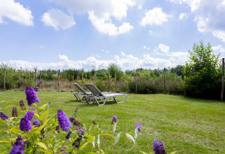 Sonnenliegen auf einer grünen Wiese am Tiny House XL bei The Kremmer, Niederlande, unter blauem Himmel.