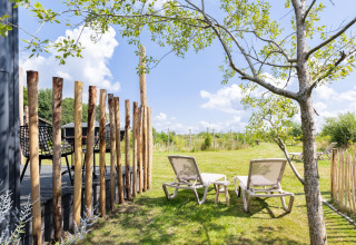 Ligstoelen onder boom bij Tiny House met terras aan The Kremmer in Nederland, groene omgeving.