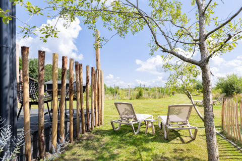 Chaises longues au soleil sous un arbre près du Tiny House avec terrasse à The Kremmer, Pays-Bas.