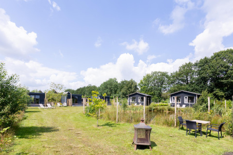 Varias tiny houses con terraza en medio de vegetación en The Kremmer, Países Bajos, con cielo azul.