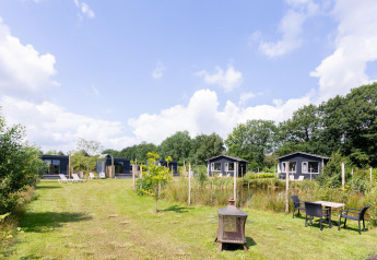 Varias tiny houses con terraza en medio de vegetación en The Kremmer, Países Bajos, con cielo azul.