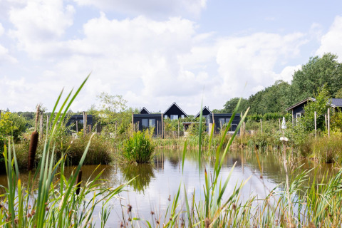 Tiny black houses with decking by the water at The Kremmer, Netherlands, surrounded by lush greenery.