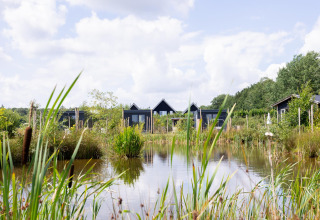 Tiny black houses with decking by the water at The Kremmer, Netherlands, surrounded by lush greenery.