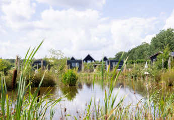 Tiny black houses with decking by the water at The Kremmer, Netherlands, surrounded by lush greenery.