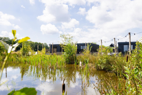 Tiny House met vlonder bij The Kremmer in Nederland, omgeven door natuur en een vijver onder een blauwe lucht.