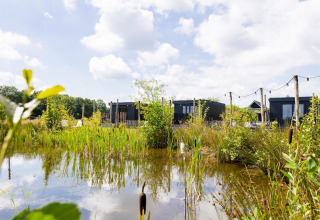 Tiny House met terras bij The Kremmer in Nederland, omgeven door natuur en een vijver onder blauwe lucht.