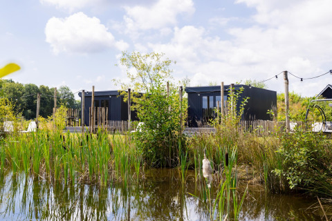 Zwart tiny house met terras bij The Kremmer in Nederland, omgeven door riet, vijver en groen.