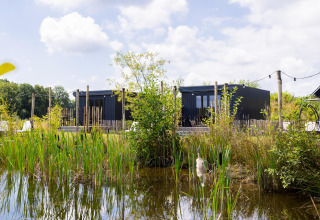 Zwarte tiny house met terras bij The Kremmer in Nederland, omgeven door vijver, riet en natuur.