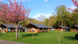 Alloggi glamping con tende di lusso, ciliegi in fiore e prato verde immersi nella natura primaverile.