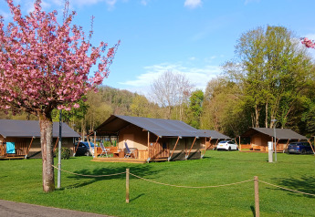 Alloggi glamping con tende di lusso, ciliegi in fiore e prato verde immersi nella natura primaverile.