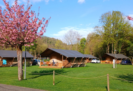 Alojamiento glamping con tiendas de lujo, árboles en flor y césped verde en un entorno primaveral.
