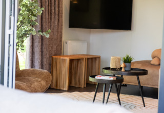 Woonkamer in Wood Cottage bij Holiday park De Witte Berg, Nederland, moderne inrichting en planten.