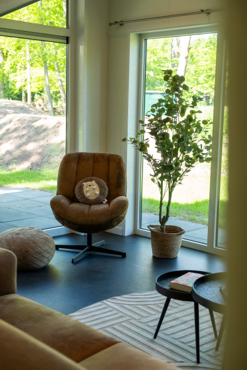 Lichte living in Wood Cottage, Holiday park De Witte Berg, met grote ramen, fauteuil en kamerplant.