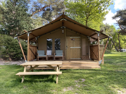 Safari-Zelt Summer Lodge auf Beerze Bulten in den Niederlanden, mit Veranda, Stühlen und Picknicktisch.