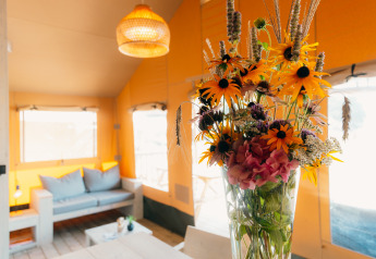 Bouquet of wildflowers in a glass vase inside the bright Safari Cottage tent at Holiday Park Sallandshoeve.