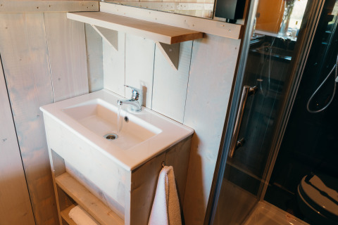 Bagno moderno con lavandino bianco, mensola e porta in vetro nel Safari cottage a Sallandshoeve, Olanda.